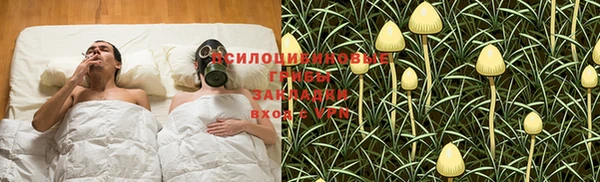прущий лед Арсеньев