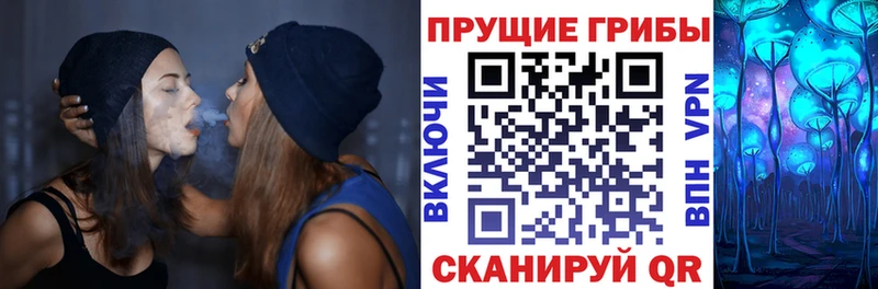 ссылка на мегу ссылка  Спасск-Дальний  Псилоцибиновые грибы MAGIC MUSHROOMS  даркнет сайт 